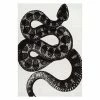 NuLOOM Thomas Paul Serpent Area Rug Black White -nuLOOM Sales Store unnamed file 1125