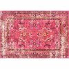 NuLOOM Casablanca Anabel Distressed Framed Floral Rug -nuLOOM Sales Store unnamed file 3593